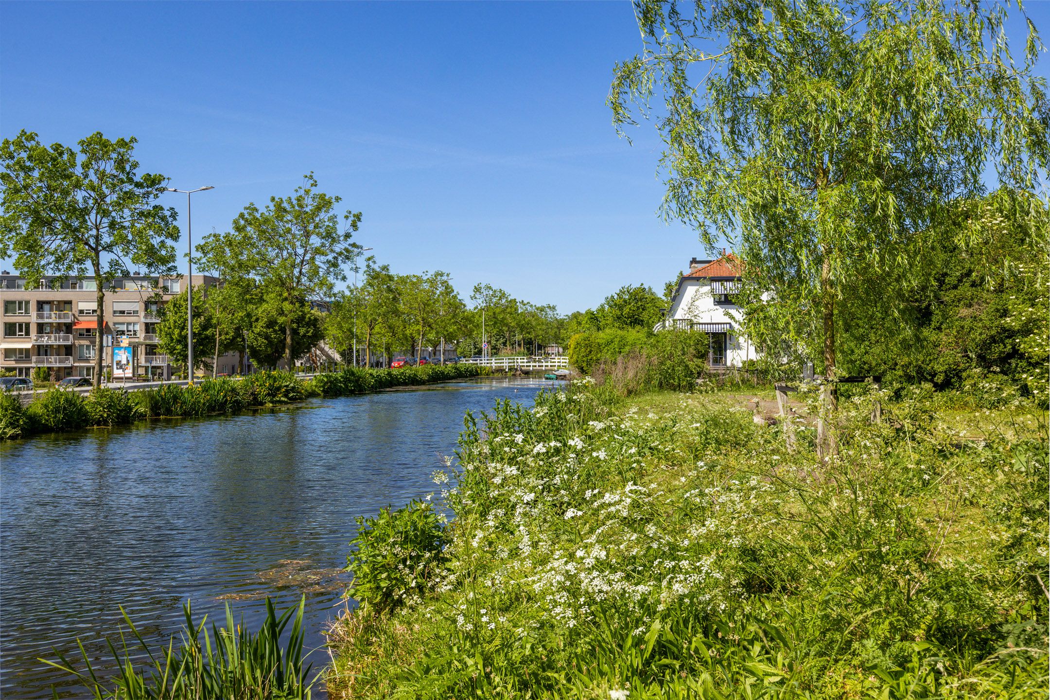 Foto 54 van Jan Willem Frisostraat 10