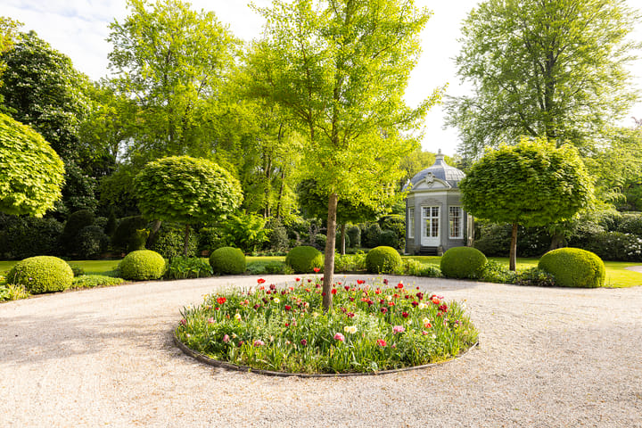 Photo 50 of Zwarteweg 4