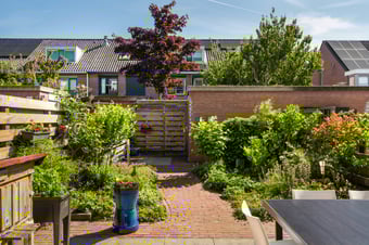 Van der Does de Willeboisstraat 14 tertiary image
