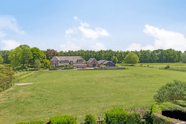 Foto 5 van De Haantjes 41