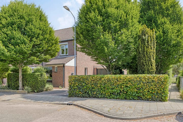 Foto 46 van De Haantjes 41