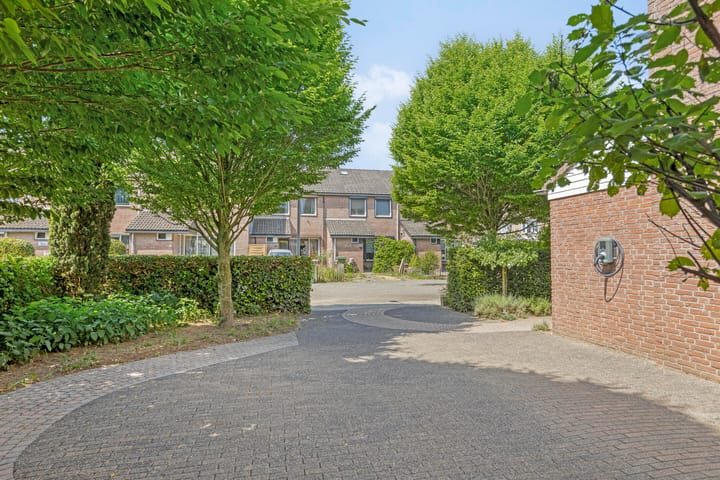 Foto 48 van De Haantjes 41