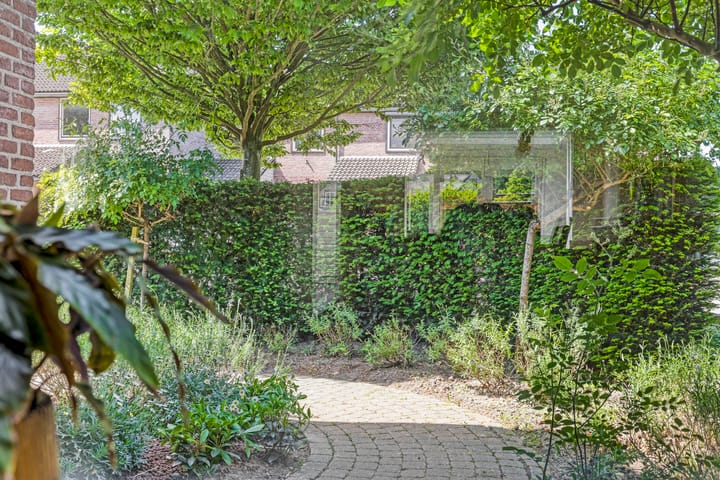 Foto 50 van De Haantjes 41