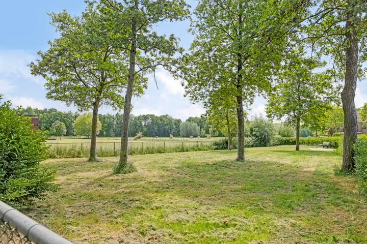 Foto 55 van De Haantjes 41