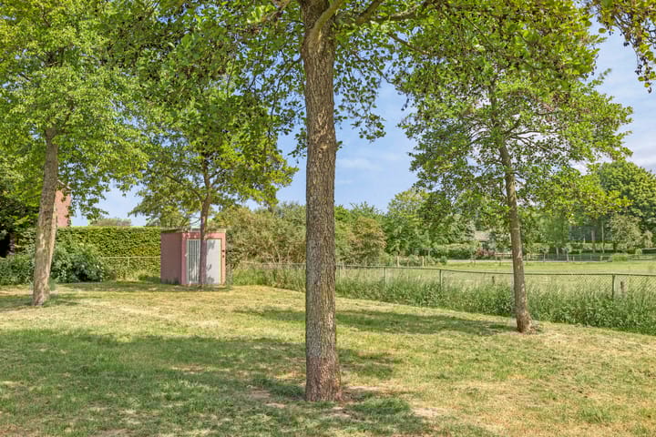 Foto 59 van De Haantjes 41