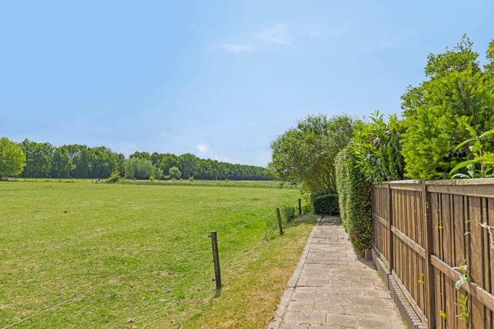 Foto 58 van De Haantjes 41