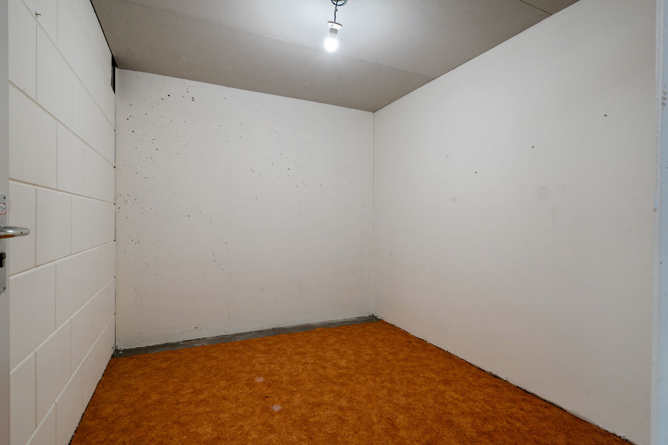 Foto 36 van Coldstream 94