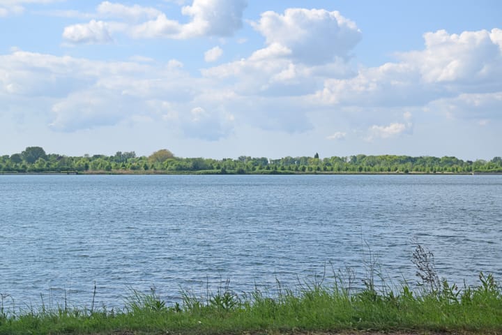 Foto 35 van Dwergbieslaan 116