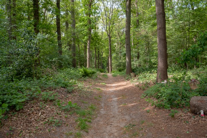 Foto 76 van Houtlaan 129