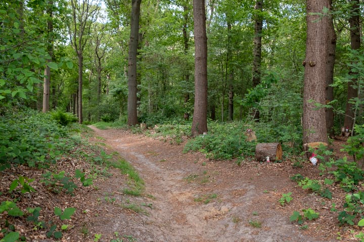 Foto 77 van Houtlaan 129