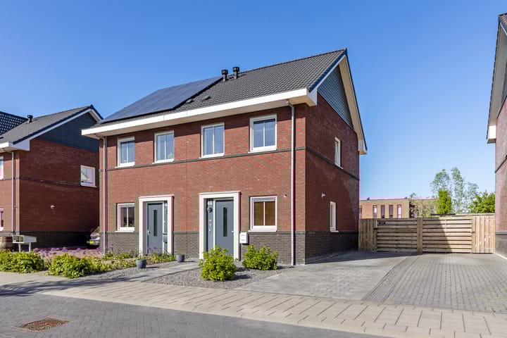 Foto 1 van Kuifeend 46