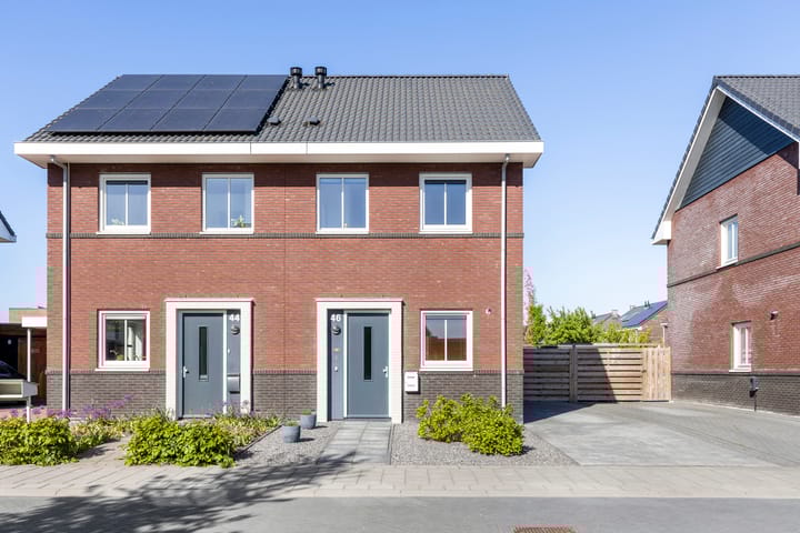 Foto 8 van Kuifeend 46