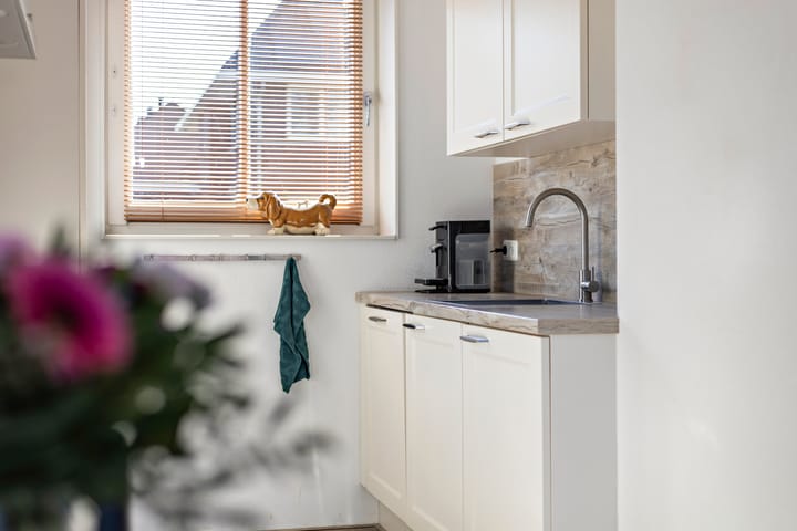 Foto 16 van Kuifeend 46