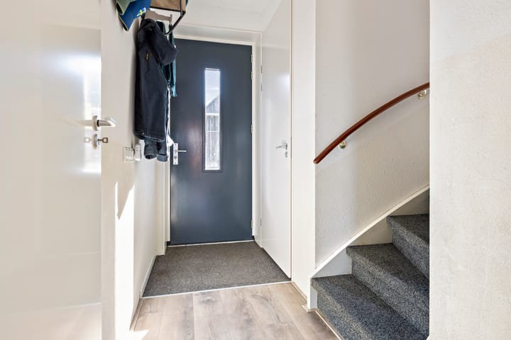 Foto 21 van Kuifeend 46