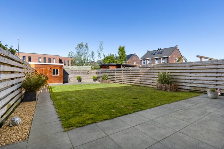 Foto 32 van Kuifeend 46