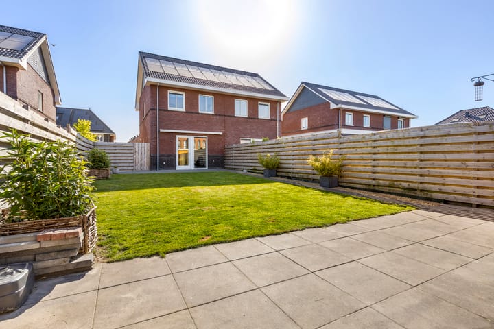 Foto 35 van Kuifeend 46