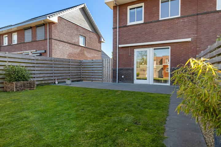 Foto 37 van Kuifeend 46