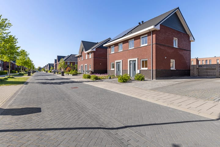 Foto 38 van Kuifeend 46