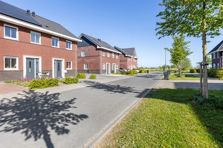 Foto 39 van Kuifeend 46