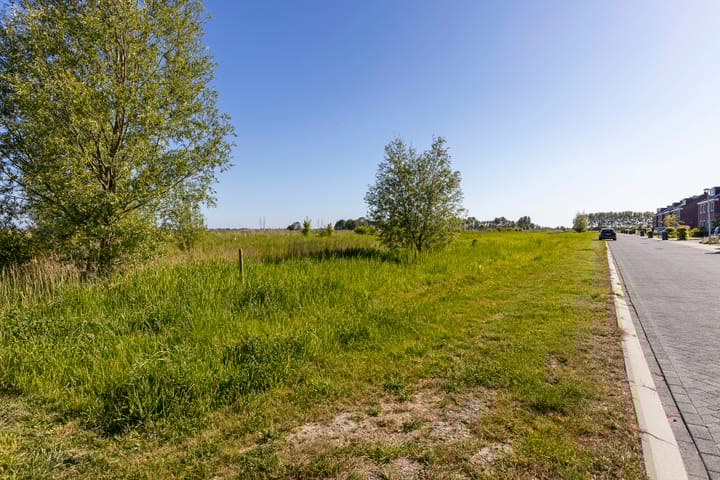 Foto 40 van Kuifeend 46