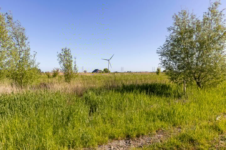 Foto 41 van Kuifeend 46