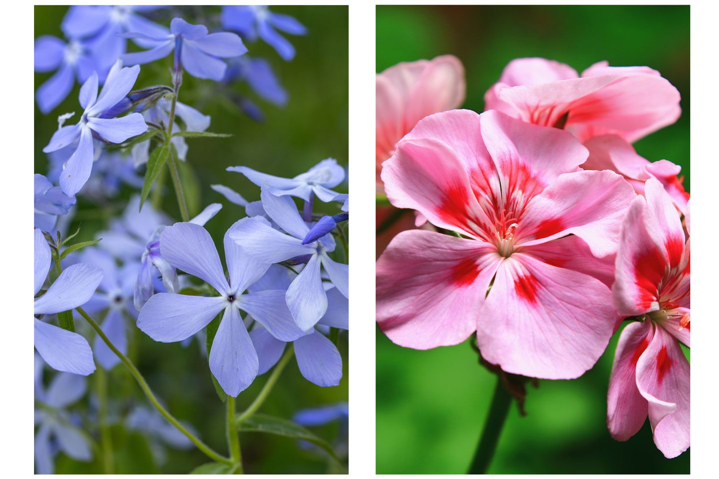 Photo 34 of Gezichtslaan 26