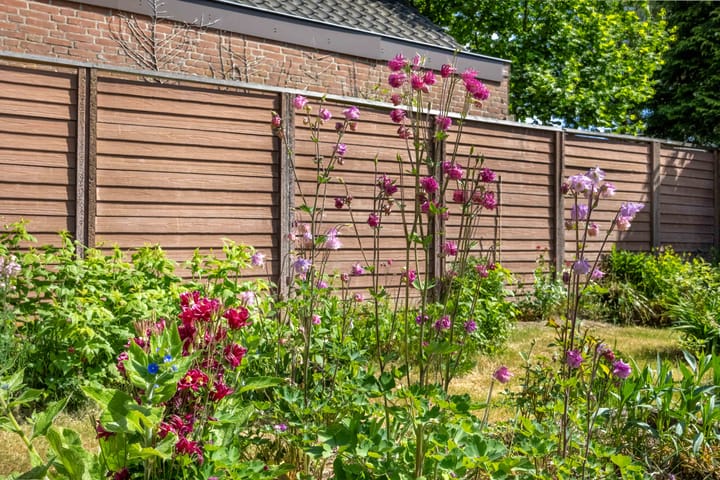 Foto 35 van Gezichtslaan 26