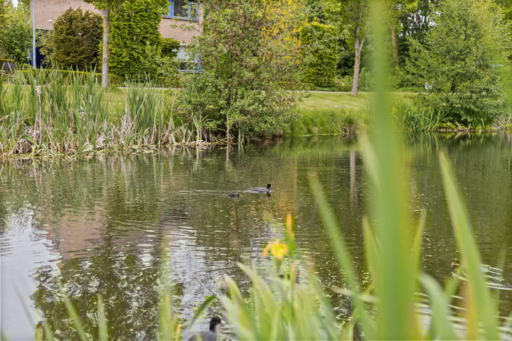 Foto 3 van Hoofdelingenlaan 9