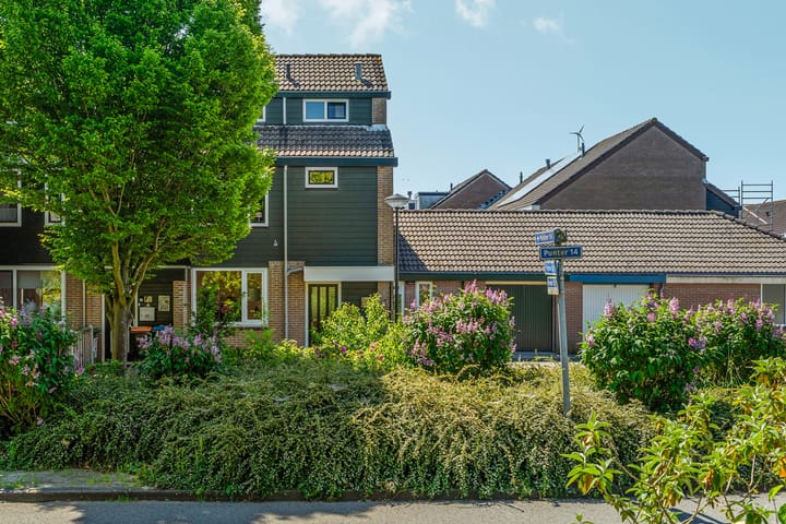 Foto 1 van Punter 14 9