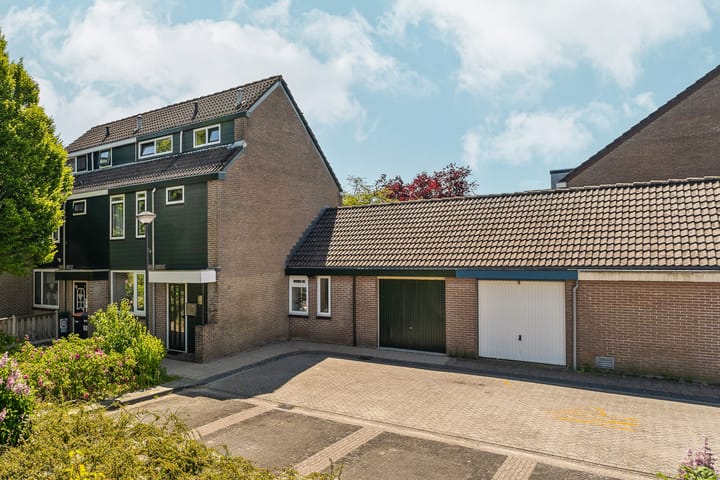 Foto 4 van Punter 14 9