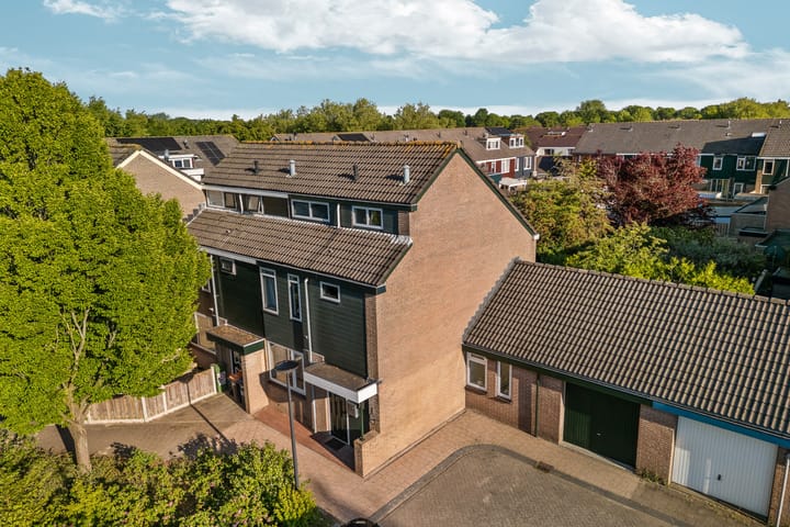 Foto 7 van Punter 14 9