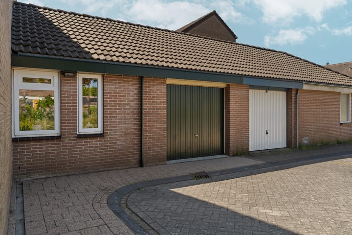 Foto 8 van Punter 14 9