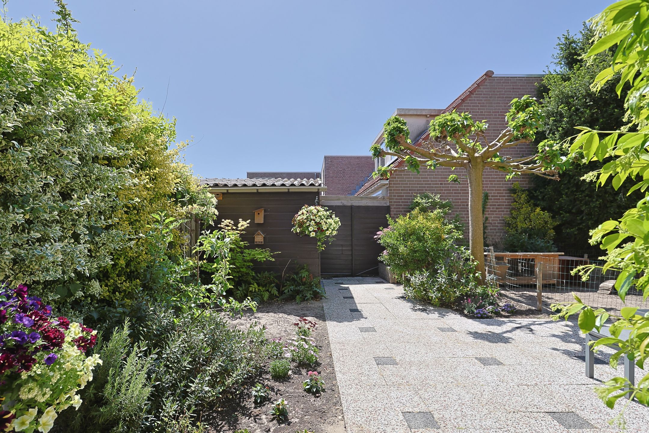 Foto 39 van Klompenmaker 2