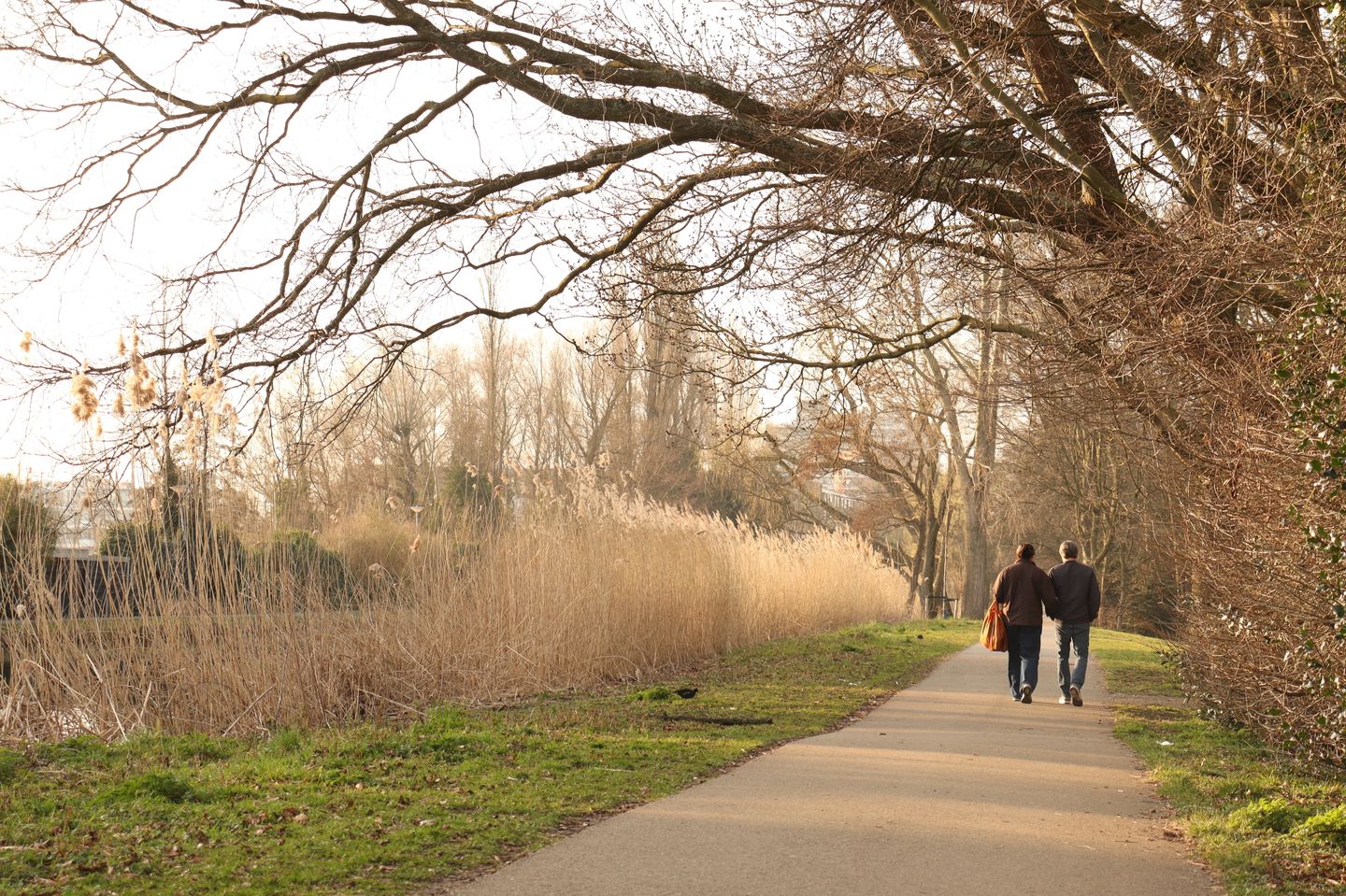 Foto 34 van Nieuwe Kerkstraat 9-B