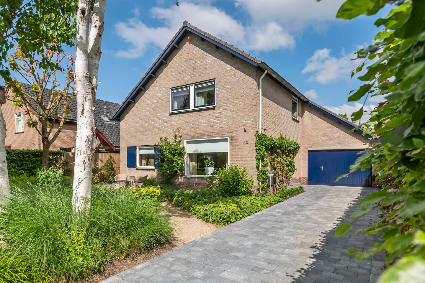 Foto 4 van Pinksterbloem 23