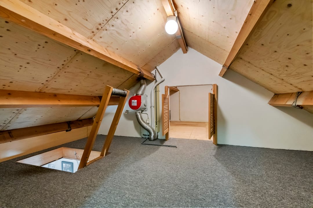 Foto 43 van Pinksterbloem 23