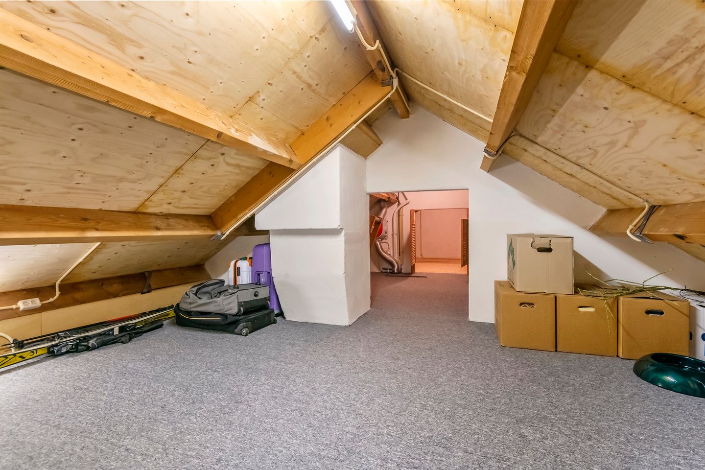 Foto 44 van Pinksterbloem 23