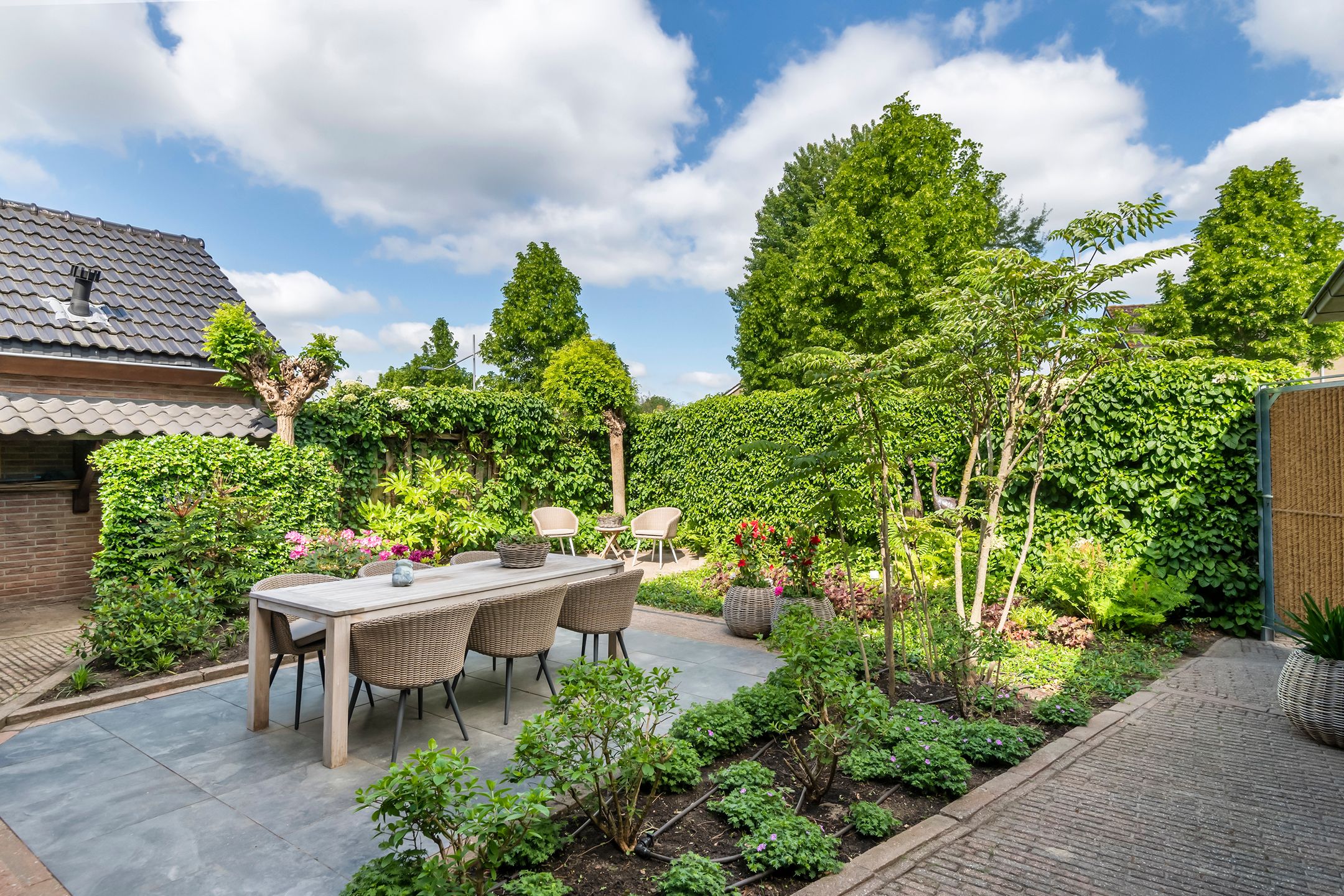 Foto 45 van Pinksterbloem 23