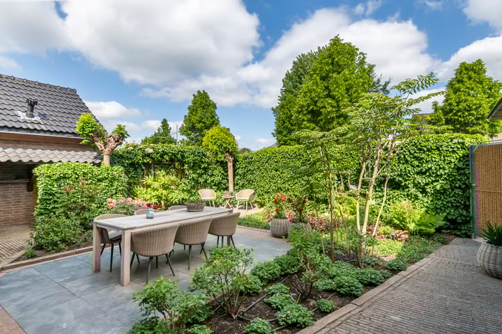 Foto 45 van Pinksterbloem 23