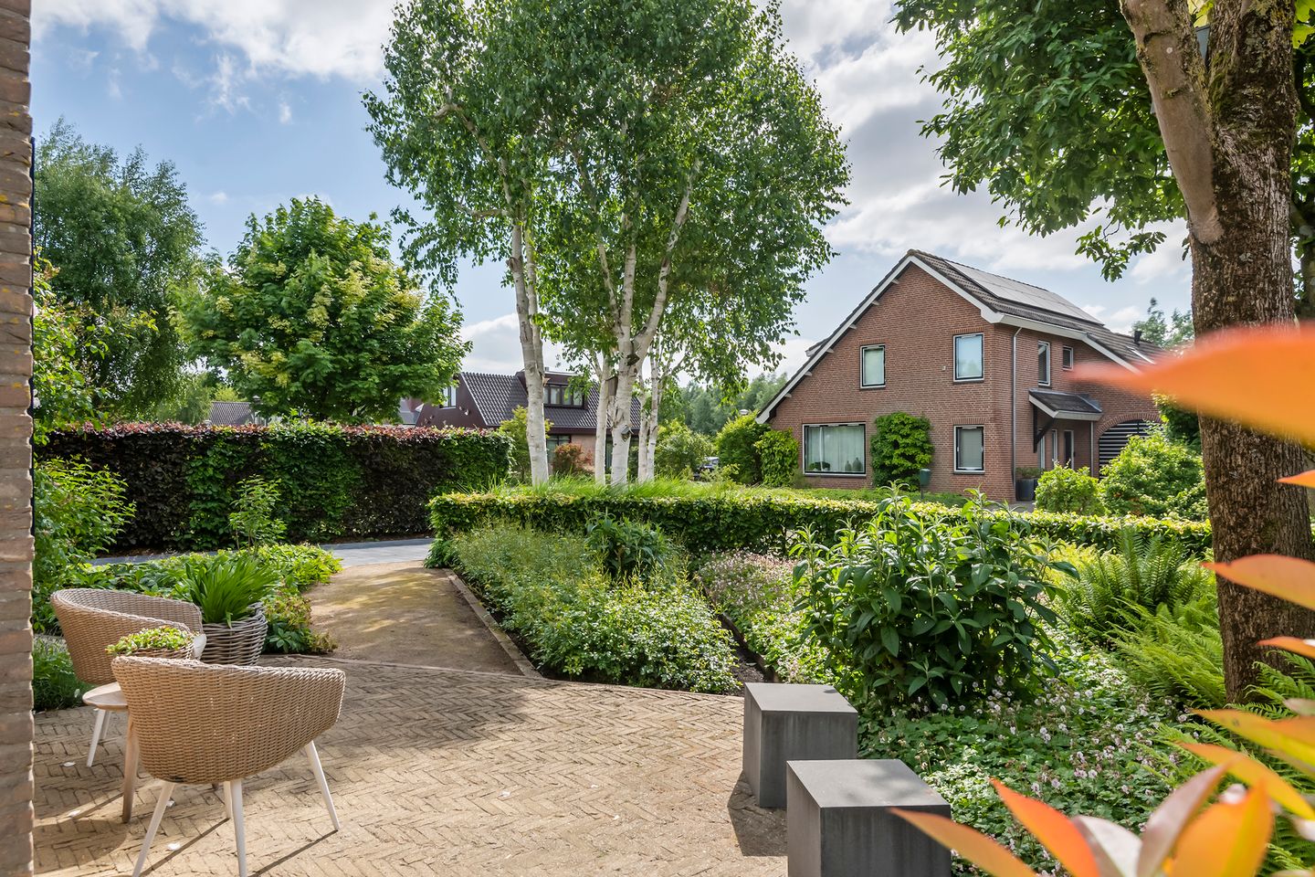 Foto 50 van Pinksterbloem 23