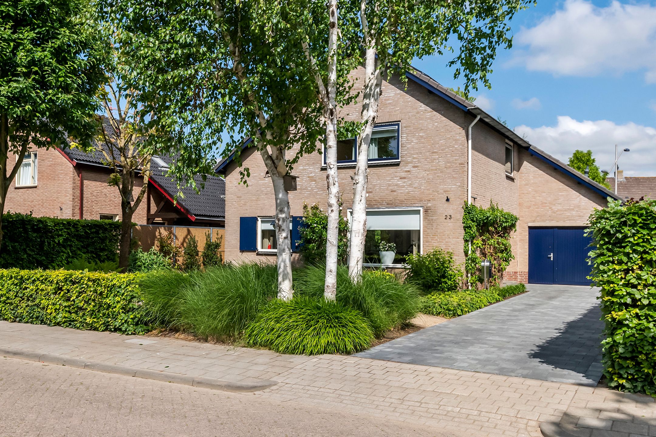 Foto 51 van Pinksterbloem 23