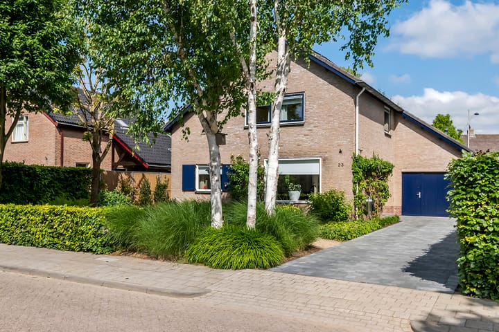 Foto 51 van Pinksterbloem 23