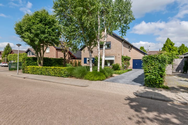 Foto 52 van Pinksterbloem 23