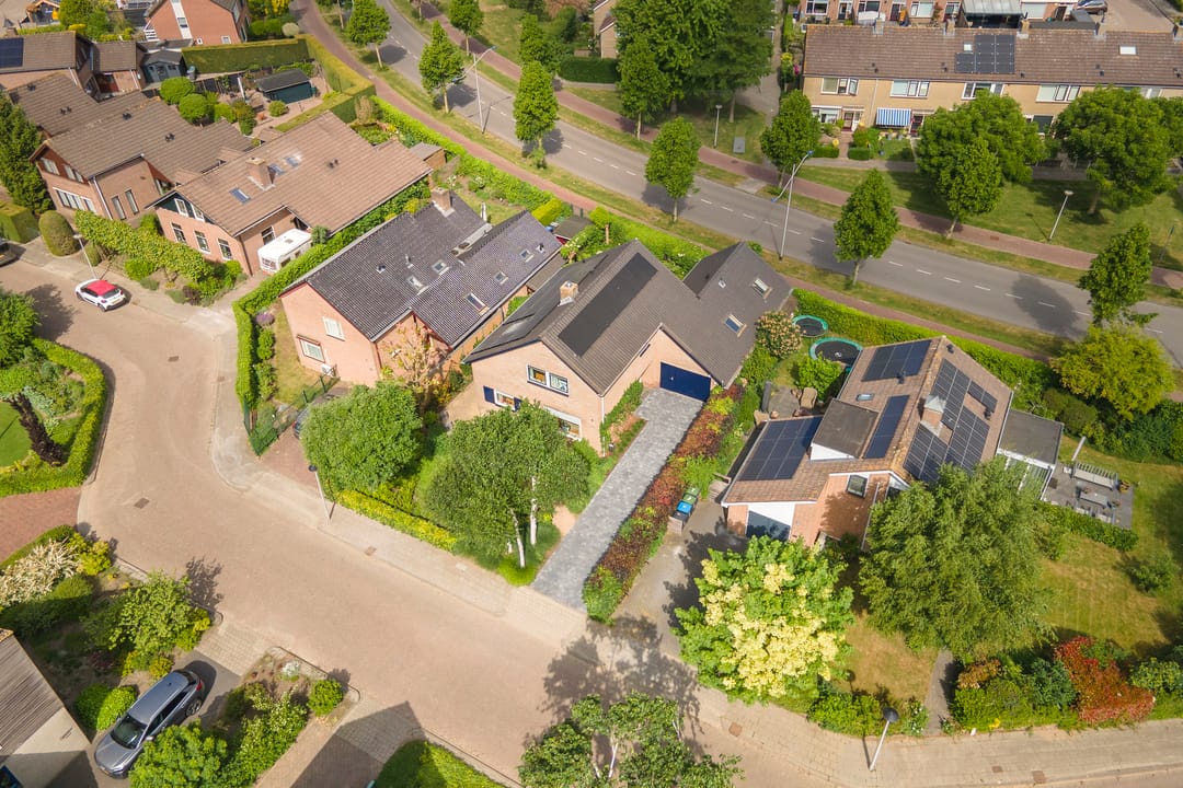 Foto 53 van Pinksterbloem 23