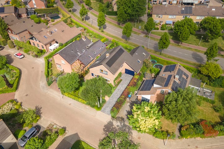 Foto 53 van Pinksterbloem 23