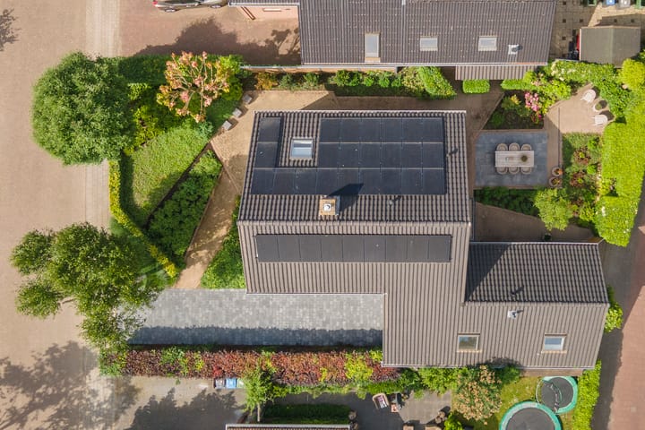 Foto 54 van Pinksterbloem 23