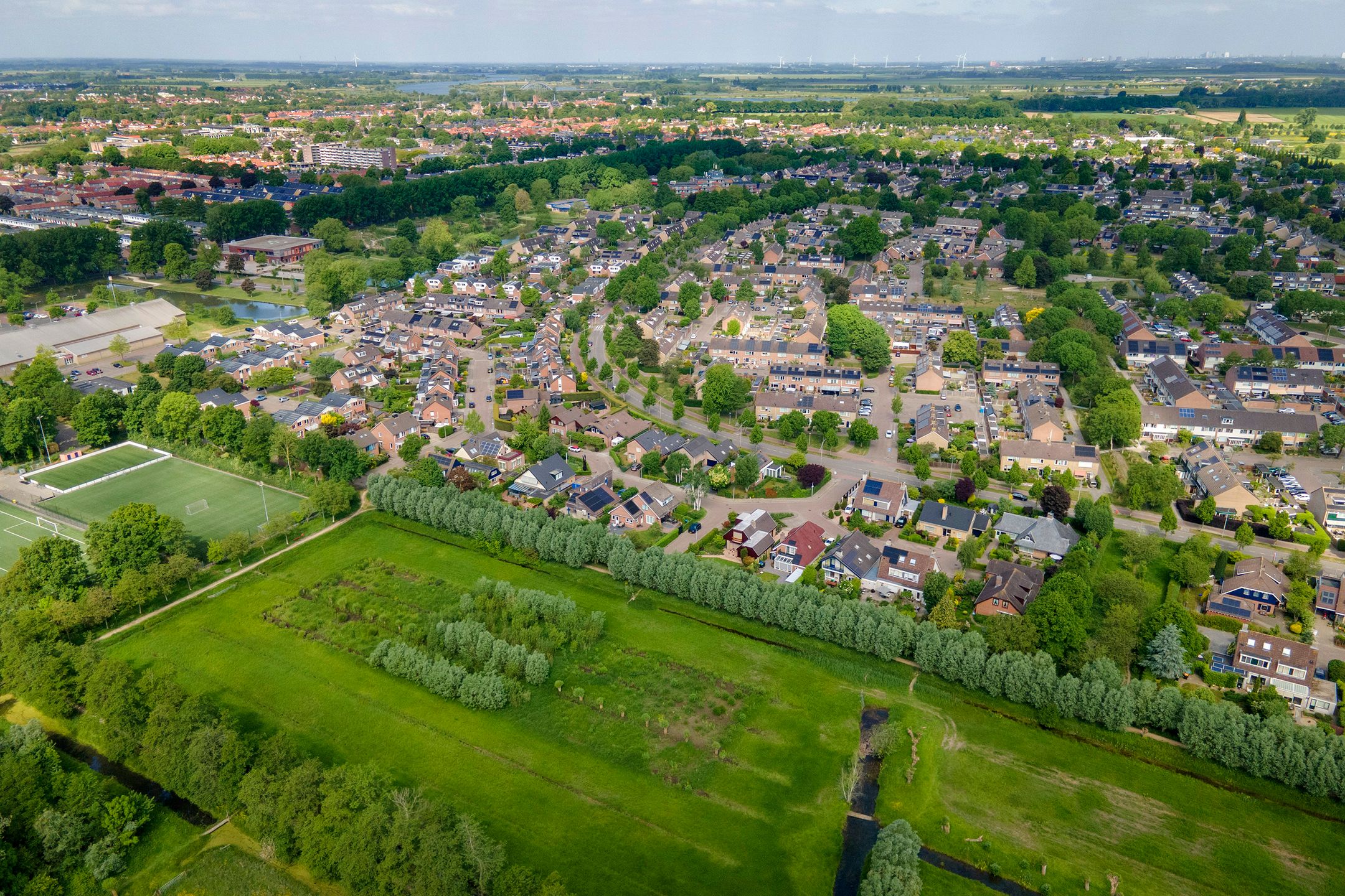 Foto 57 van Pinksterbloem 23