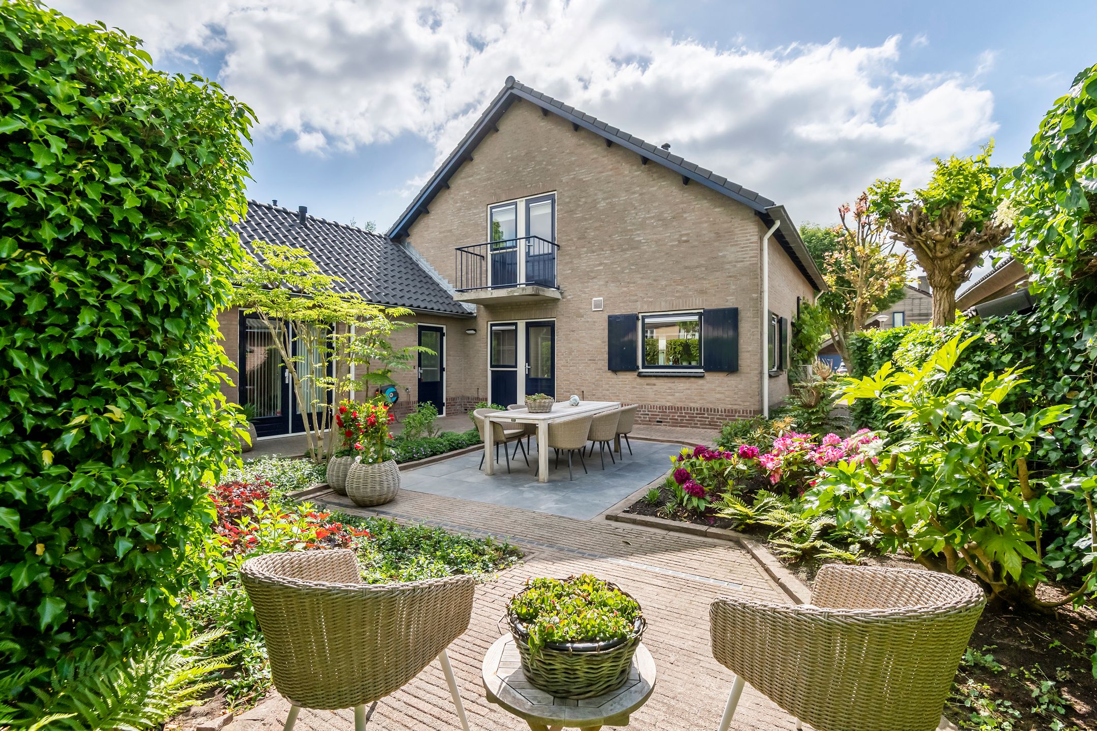 Foto 48 van Pinksterbloem 23