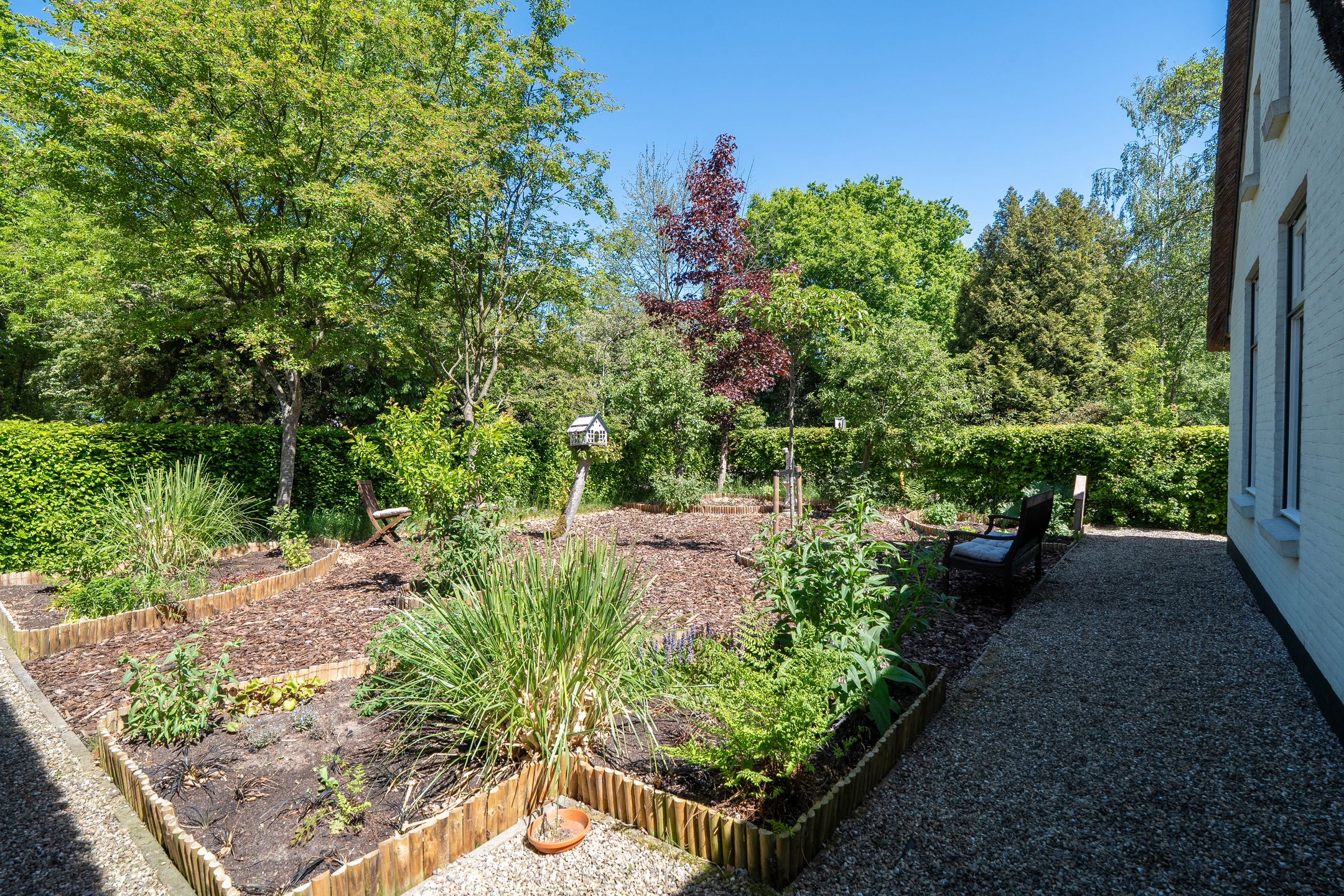 Foto 6 van Norgerweg 159