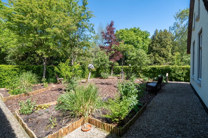 Foto 6 van Norgerweg 159